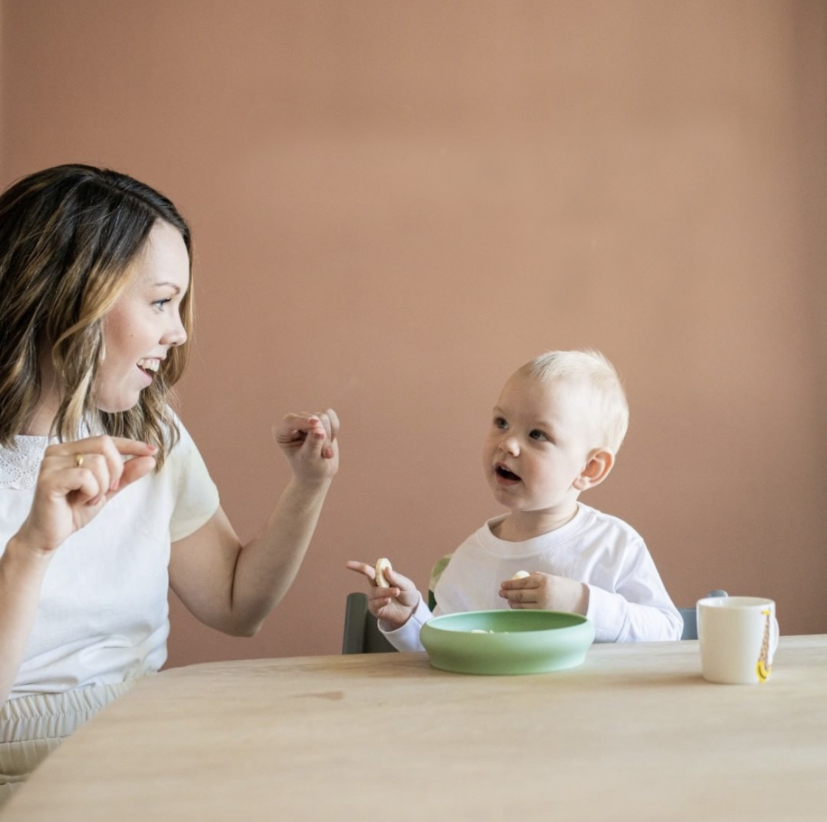 Naomi Baby & Toddler Silicone Plates - Set of 2